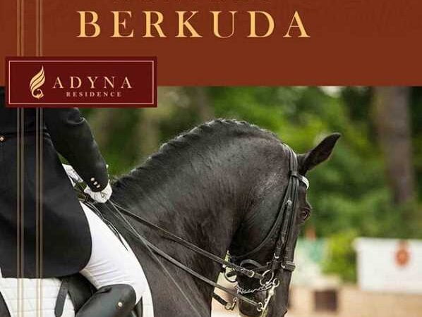 Manfaat Berkuda bagi Kesehatan