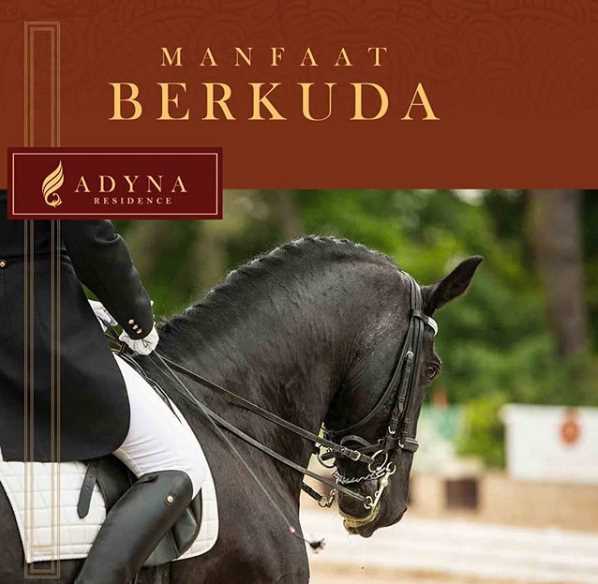 Manfaat Berkuda bagi Kesehatan