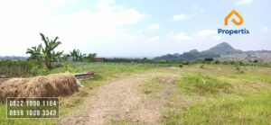 Tanah Murah