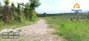 Tanah Murah