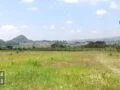 Tanah Murah