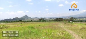 Tanah Murah