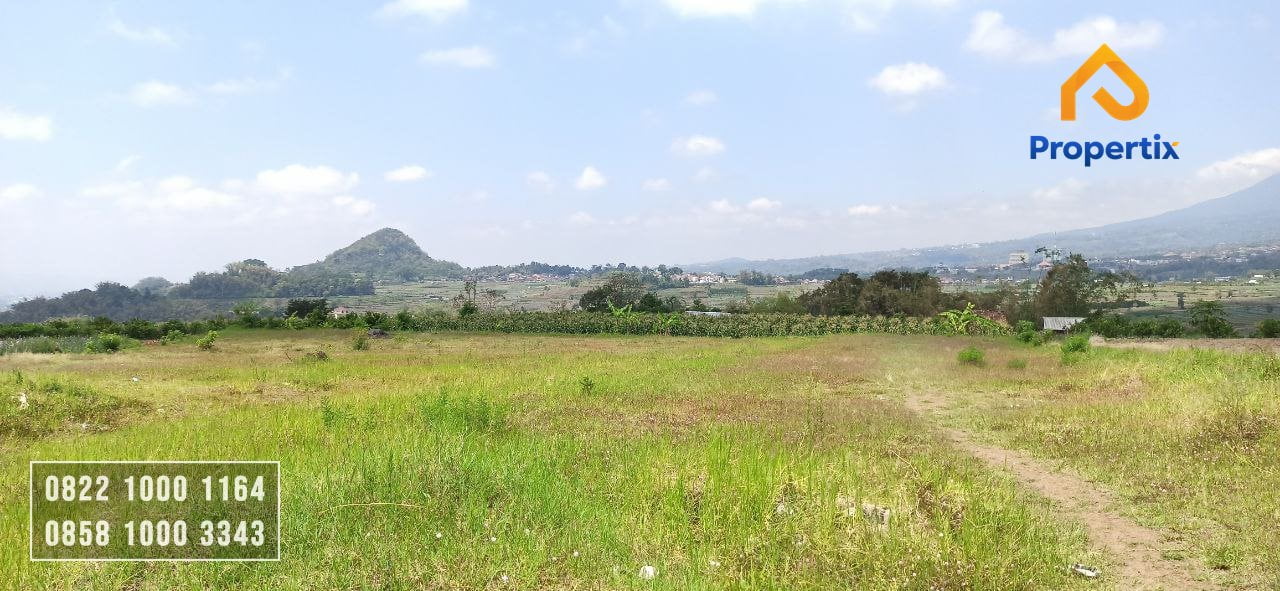 Tanah Murah