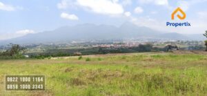 Tanah Murah