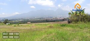 Tanah Murah