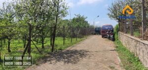 Kebun Apel Murah