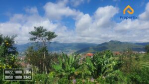 dijual villa dengan kebun apel
