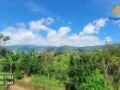 dijual villa dengan kebun apel
