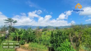dijual villa dengan kebun apel