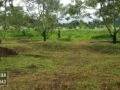 Tanah dijual malang