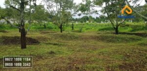 Tanah dijual malang