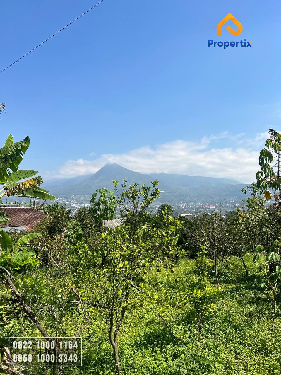 Tanah Best View