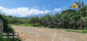 Dijual Kebun Apel