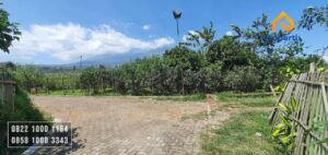 Dijual Kebun Apel