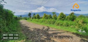 Dijual Kebun Jeruk