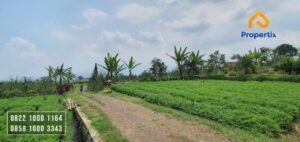 Tanah Hunian Dijual