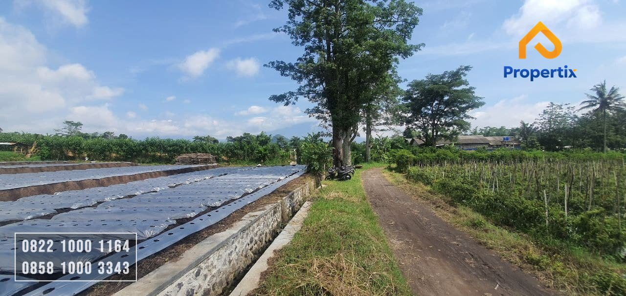 Tanah Murah Batu
