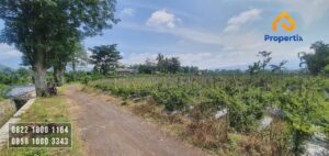 Tanah Murah Batu