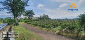 Tanah Murah Batu