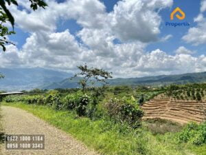 Kebun Investasi Batu
