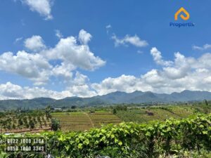 Kebun Investasi Batu
