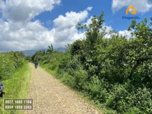 Kebun Investasi Batu