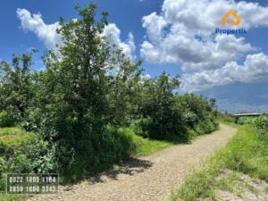Kebun Investasi Batu
