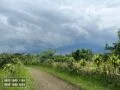 Kebun Jeruk Produktif
