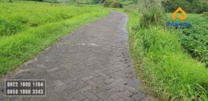 Tanah Batu