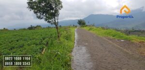 Tanah batu murah