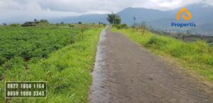 Lahan Pertanian Produktif