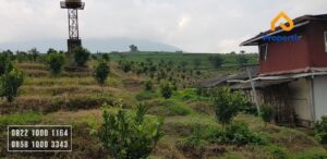 Investasi Tanah