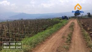 Lahan Cocok Untuk Wisata
