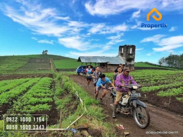 Lahan Cocok Untuk Wisata