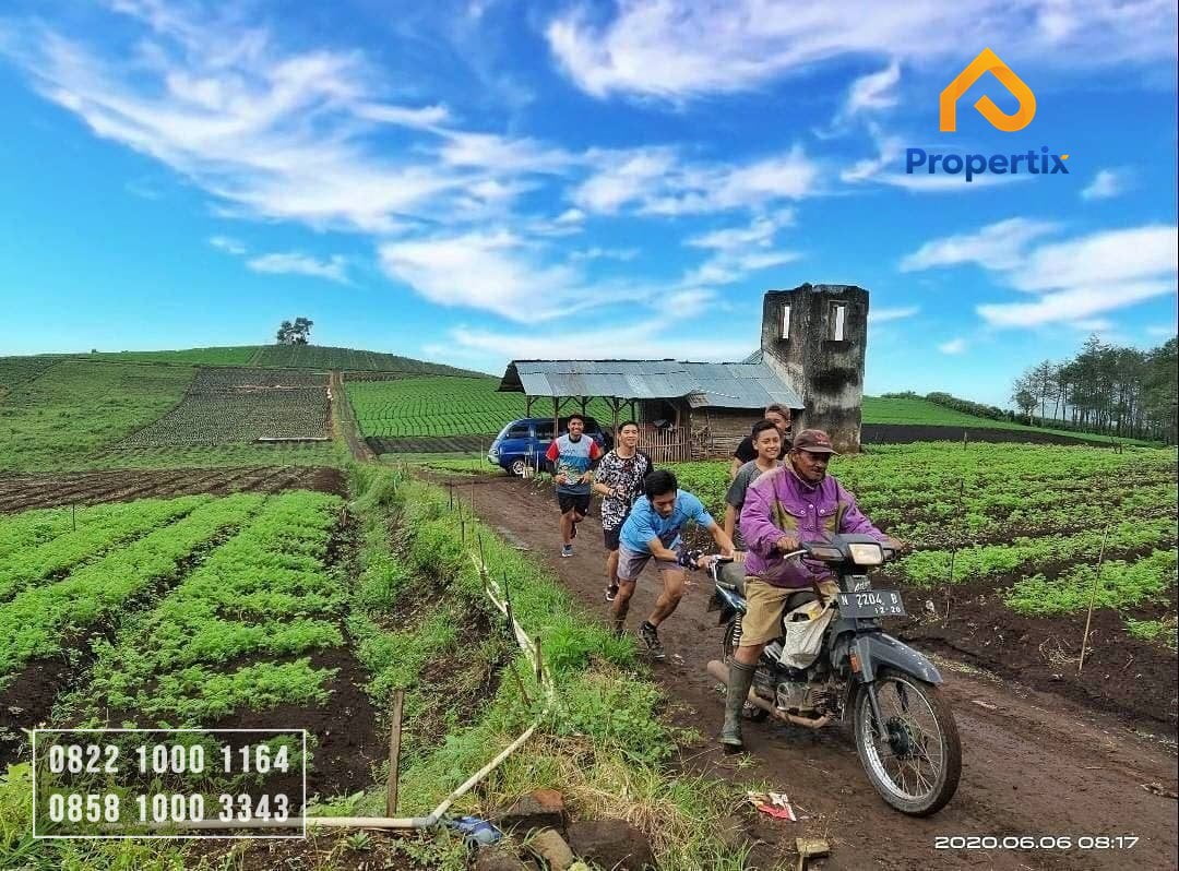 Lahan Cocok Untuk Wisata