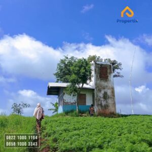 Lahan Cocok Untuk Wisata