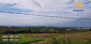 Lahan Perkebunan Jeruk