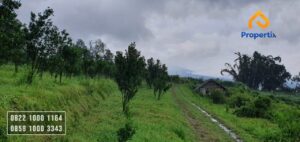  Tanah Murah Dijual