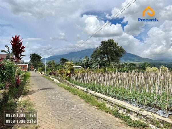 Tanah Villa dengan Kebun