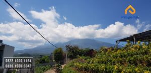 Tanah Murah Dijual