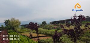 Tanah Murah Dijual