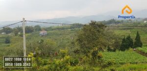 Tanah Murah Dijual