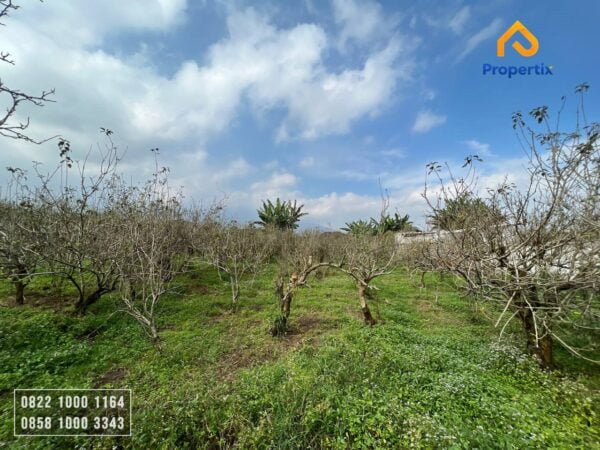 Tanah Cocok Untuk Villa