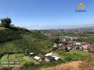 Tanah Super Istimewa