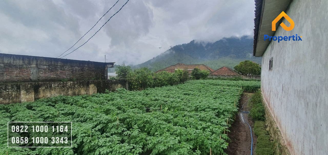 Rumah Plus Kebun Dijual