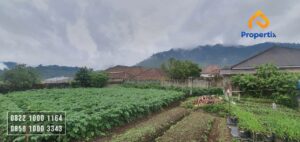 Rumah Plus Kebun Dijual