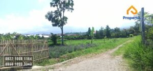 Tanah Dekat Baloga