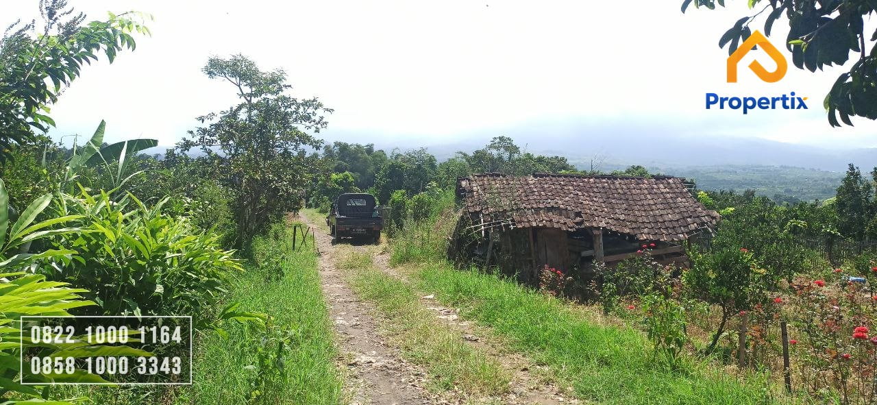 Tanah Dekat Baloga