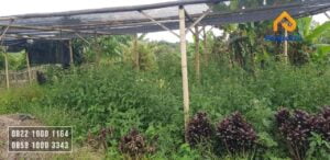 Dijual Tanah Villa