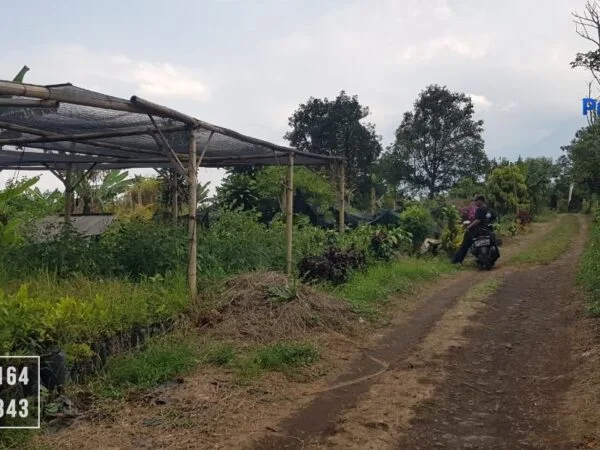 Dijual Tanah Villa